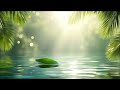 Deep Healing Sleep , Clear Negative Thoughts &amp; Remove Anxiety