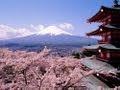 Welcome to Japan - ALL About Life in Japan