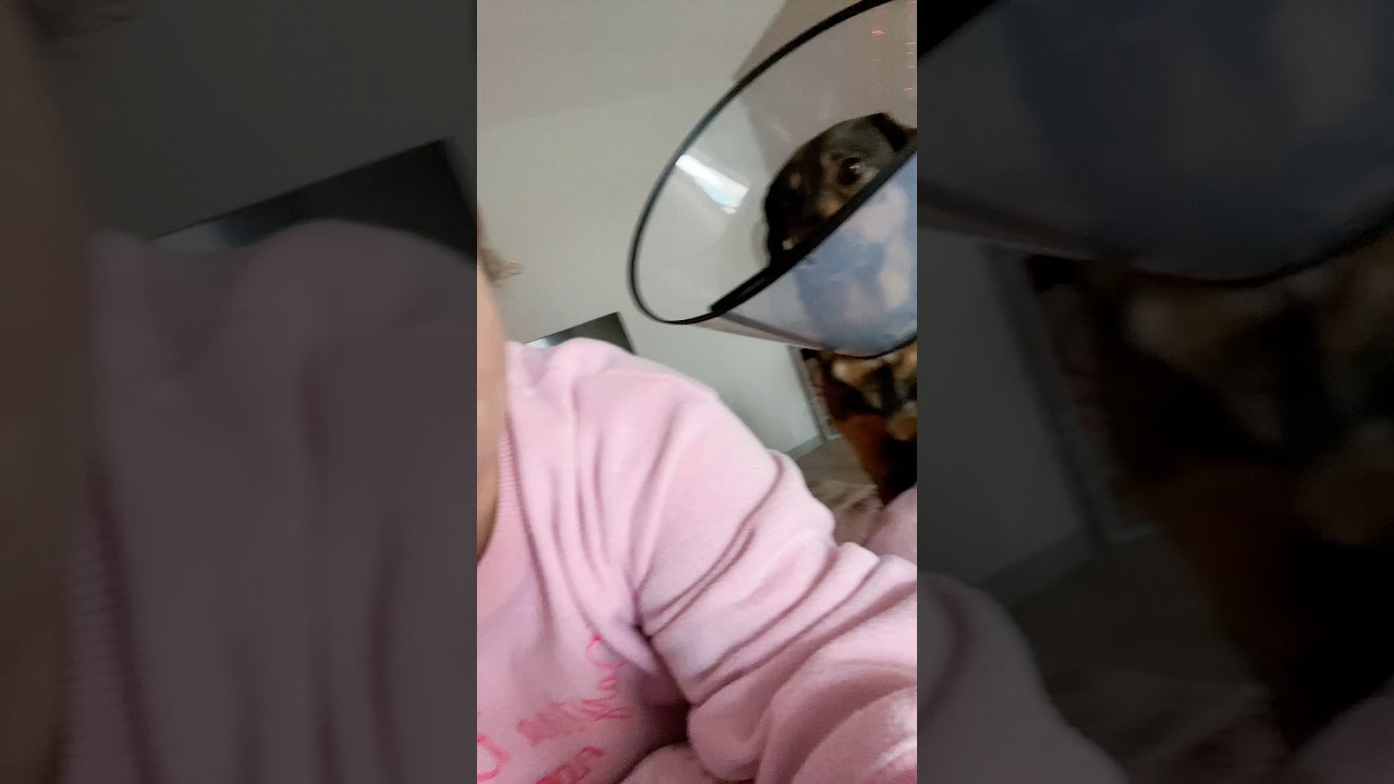 Life Update ft.Mango