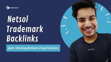 Netsoltrademark Backlinks | Spam-Checking Methods Of Aged Domains