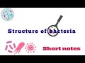 Structure of bacteria short  easy notes labnotes unleashed  mlt  exam  microbiology