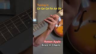 Alice In Chains - Rotten Apple #guitarlesson #jerrycantrell #guitartutorial #grunge #musiclessons