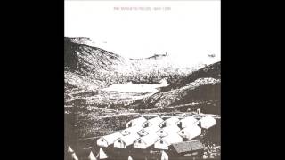 The Magnetic Fields - Why I Cry