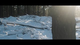 Winter Solitude