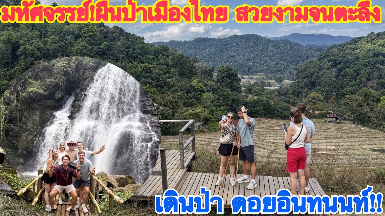 ความงดงามของผืนป่าเมืองไทย!ทำเอาต่างชาติถึงกับตะลึงในความงดงามและมหัศจรรย์