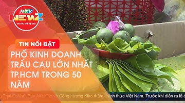 TUYẾN PHỐ CƯỚI HỎI TRẦU CAU ĐẶC BIỆT TẠI TP.HCM