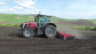 La pregatit teren pentru porumb cu tractor Massey Ferguson 8S 205 cu combinator Unia