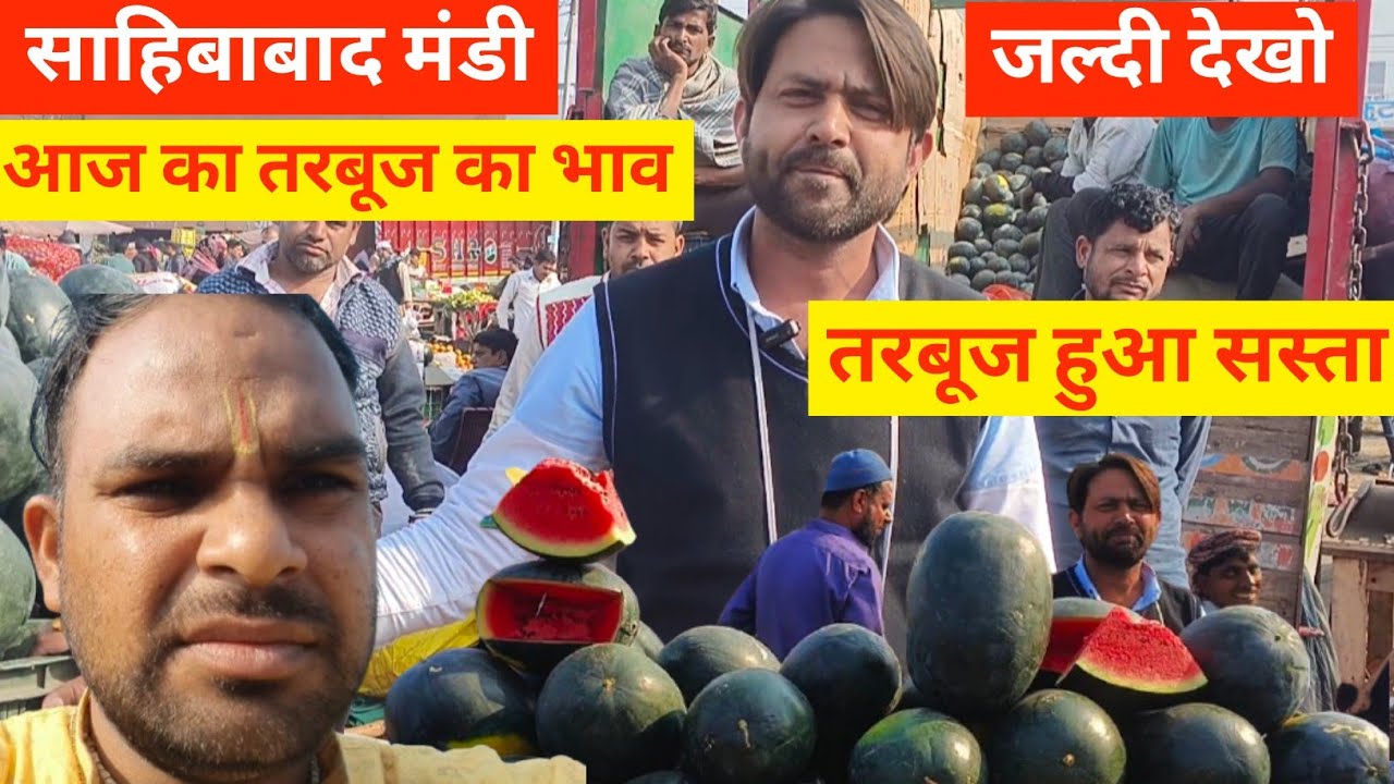 Why This Indian Mandi is Full of watermelon🍉आज का तरबूज भाव