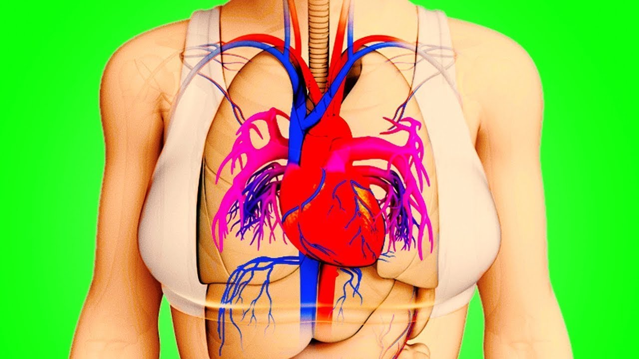 Тело Предупредит Вас За Месяц До Инфаркта
