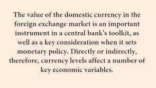 The Effects Of Currency Fluctuations On The Economy  1