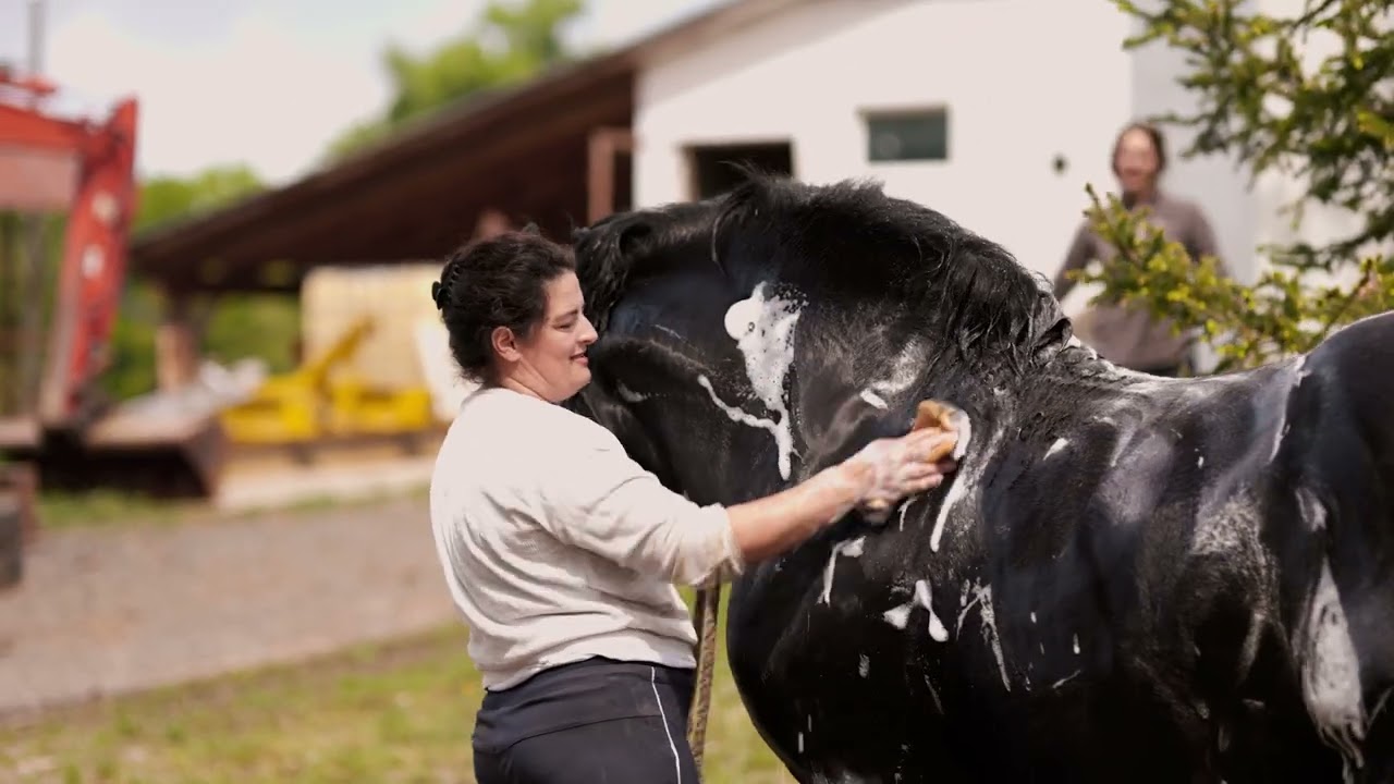 Najbolje iz Hrvatske, 1. ep. 6. sez. S CUGOM V MEĐIMURJE