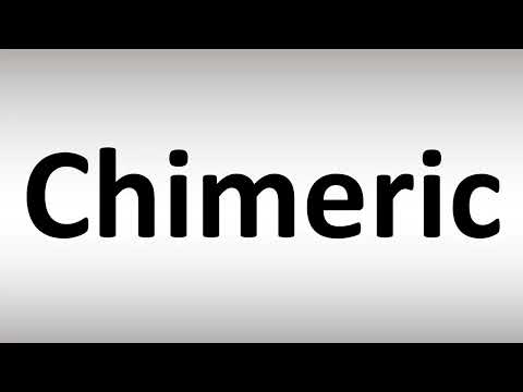 Vídeo: Qual idioma é quimérico?