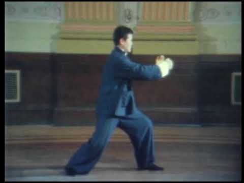 Video: Tai Chi: Liikunta Mielelle