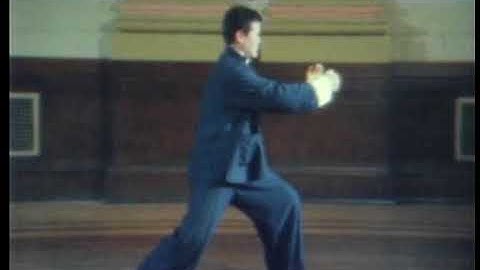 Tai chi Tung