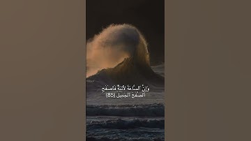 إِنَّ رَبَّكَ هُوَ ٱلۡخَلَّٰقُ ٱلۡعَلِيمُ || سورة الحجر || هزاع البلوشي