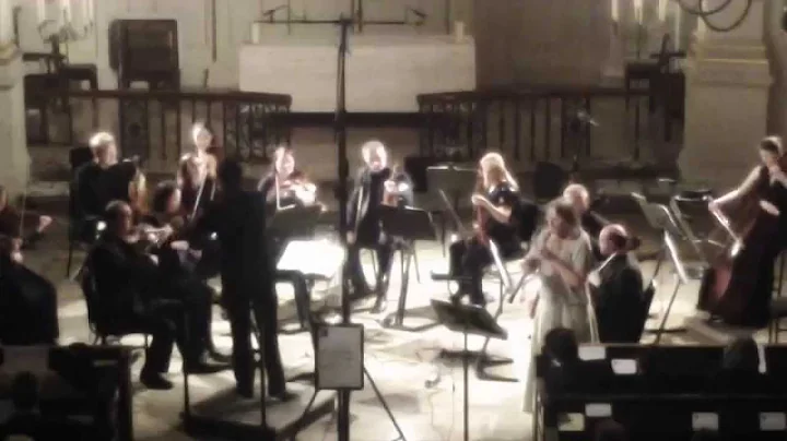 Alessandro Marcello Oboe Concerto in D min (1st mo...