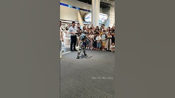 Robot múa dẻo điêu luyện