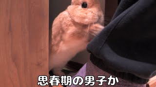 mqdefault.jpg