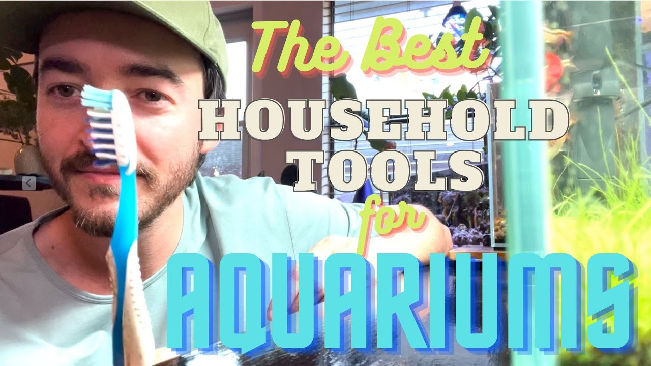 The *BEST* household items for your AQUARIUMS