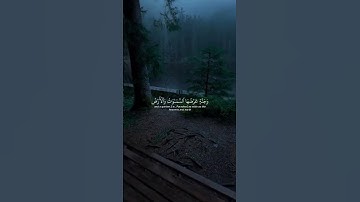 وسارعوا الى مغفرة من ربكم #القرآن_الكريم #yasseraldossary #ياسر_الدوسري #تلاوة_خاشعة #اكسبلور