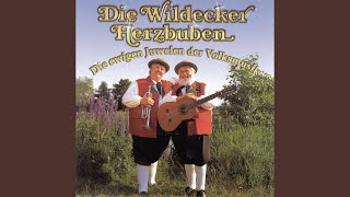 Video thumbnail of "Wildecker Herzbuben - Drei weiße Birken"