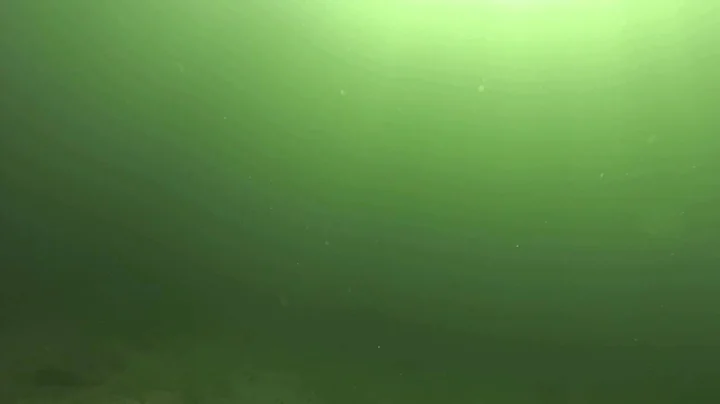 Scuba Diving in lake Sebago, ME - 2015-08-08 - Fir...