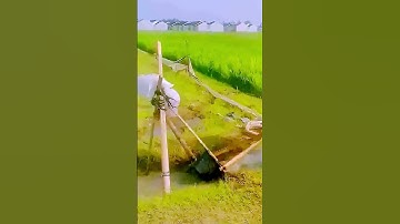 The process of irrigating rice fields = Good tools can double the results with half the effort.