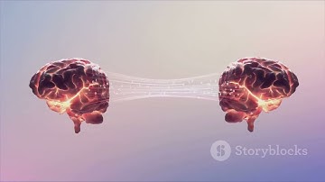 Bridging Language Barriers through Cross-Lingual Sentiment Analysis