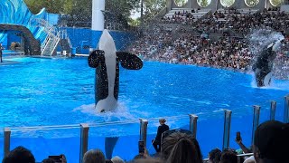 Orca Encounter (Full Show in 4K) | SeaWorld Orlando | April 22, 2023