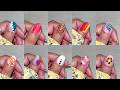 Top 10 Easy nail art designs with household items | New nail art 2026 for beginners
