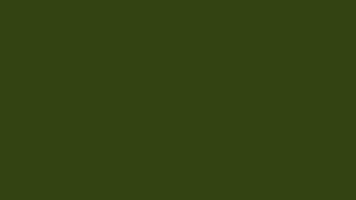 A Color a Day: Obsidian Absinthe - #334411 rgb(51, 68, 17) - 2025-05-26 — Color Screensaver