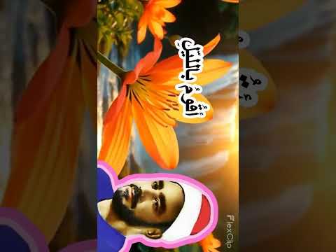 مولاي إني ببابك قد بسطت يدي الشيخ سيد التقشبندي