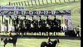 John Henry - 1984 Turf Classic by Vintage North American Horse Racing 30,377 views 13 years ago 6 minutes, 33 seconds