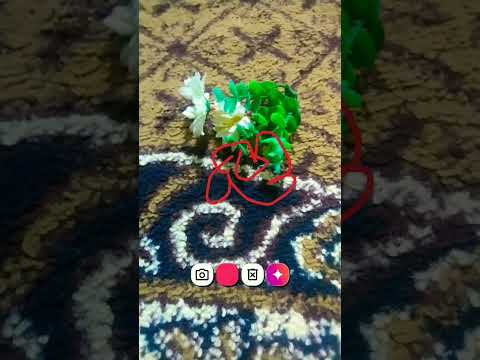 ملحأتلكم كل ترتد أول بأول بس بجوز يعطوني إنذار لأسبوعين