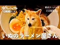 【プロフェッショナル柴犬の流儀】まだ見ぬ一杯へ、果てなき柴犬ラーメン道。
