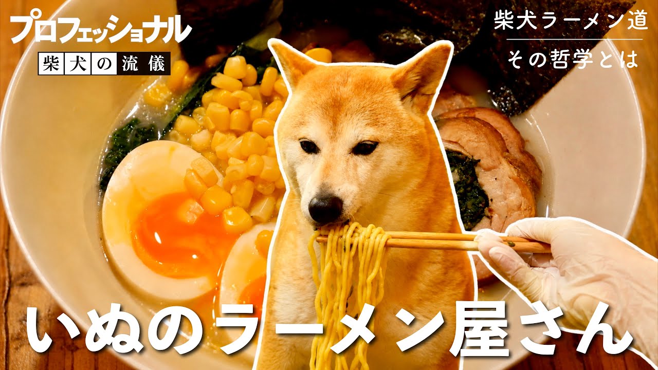 【プロフェッショナル柴犬の流儀】まだ見ぬ一杯へ、果てなき柴犬ラーメン道。