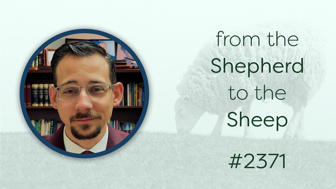 From the Shepherd to the Sheep - #2371 - CBC