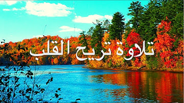 سورة الحجرات القارئ عبدالرحمن مسعد ‏بجودة عالية
