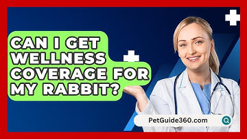 Can I Get Wellness Coverage for My Rabbit? - PetGuide360.com
