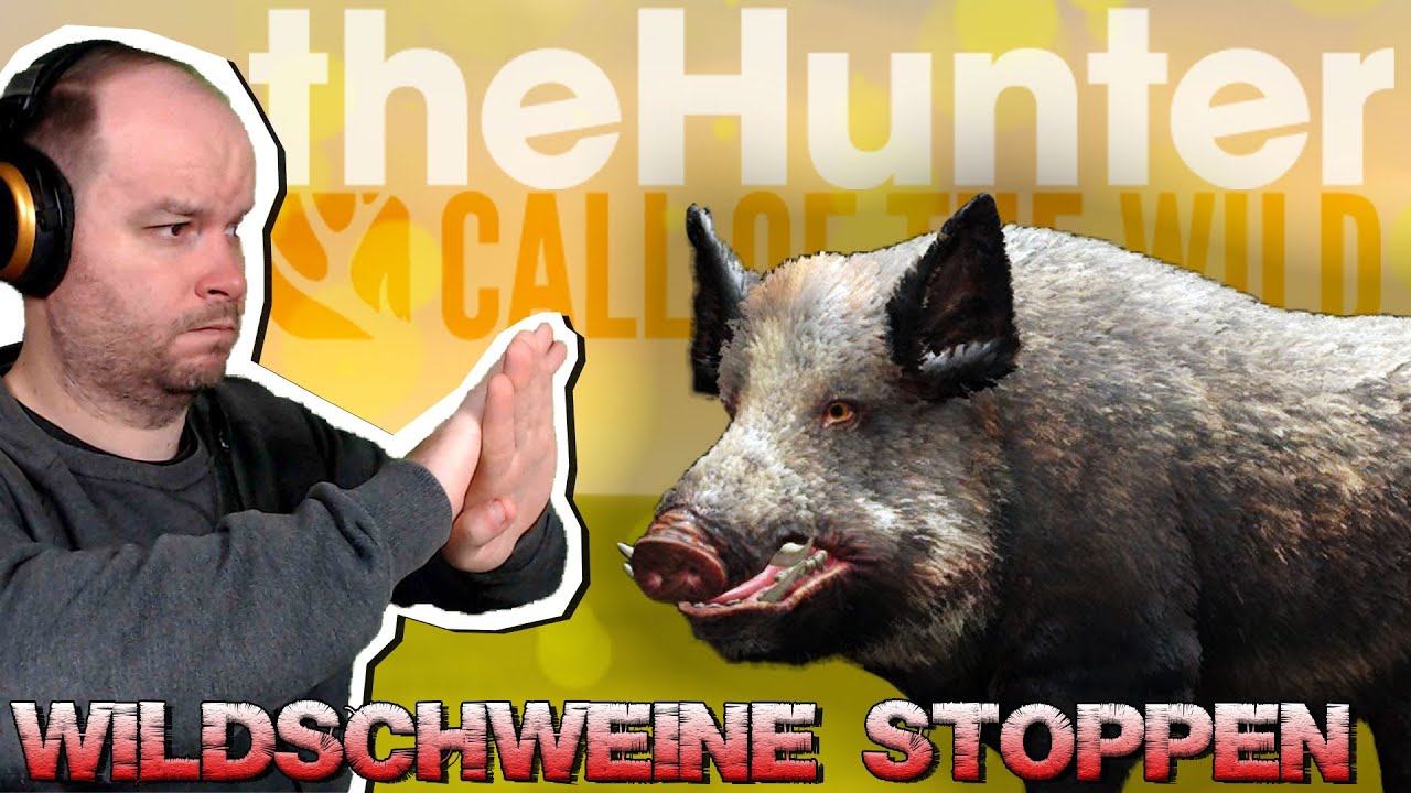 Anfängerserie Part 23 Wildschweine stoppen! Jagddruck auf den Feldern theHunter Call of the
