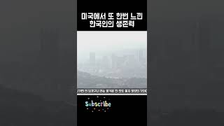 한국인의생존력, 저주인가축복인가(ASMR 박사일기 인간극장) #shorts #미국유학 #미국박사 #웹툰