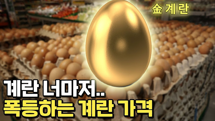 아무도 모른다는 계란값 상승 이유