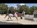 Cici schooling in aiken