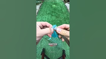 This Guy Bought A $100 Inflatable Shark