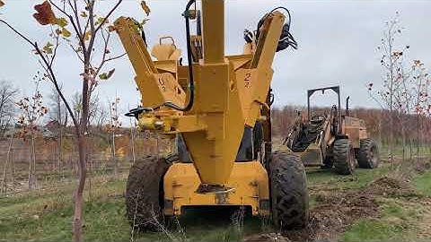 20-Inch Tree Spade with Undercutter