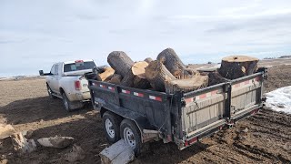 wood run, making cummins work,   load trailer at its limits