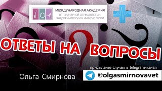 Ответы на вопросы. Выпуск от 24.03.2024