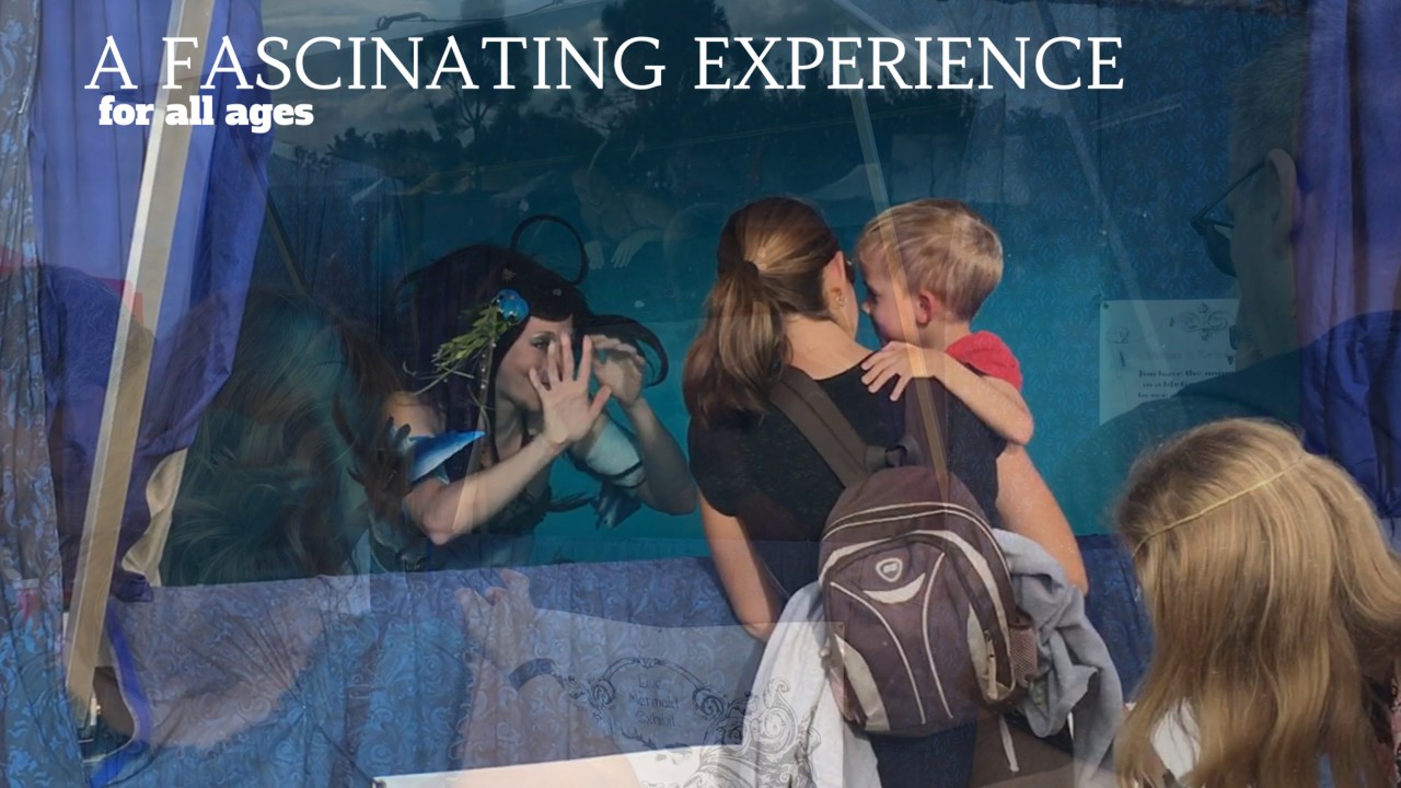 Live Mermaid Exhibit Portable Mermaid Tank YouTube