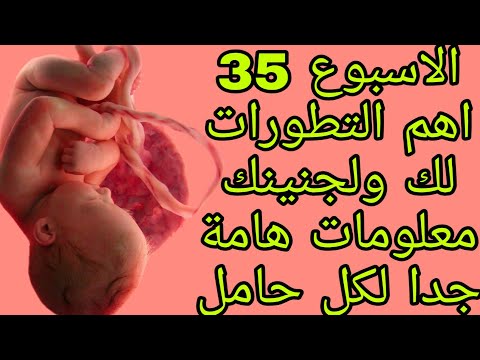 فيديو: كيف يبدو الطفل في الأسبوع 35 من الحمل