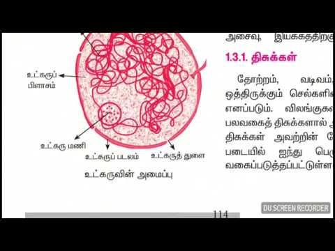 SCIENCE 8 TH STD 3 TERM உயிரினங்களின் பல்வகைத்தன்மை PART 1